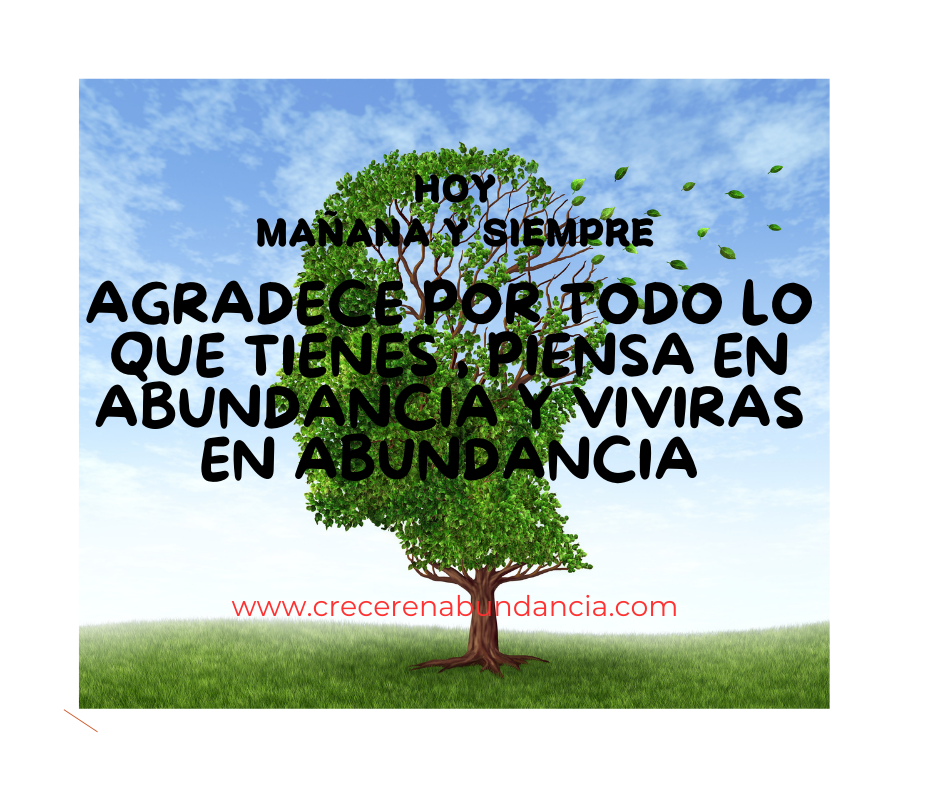 recordar momentos de gratitud